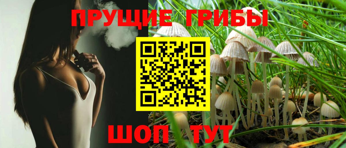 Галлюциногенные грибы MAGIC MUSHROOMS  Темрюк  Псилоцибиновые грибы Psilocybe 